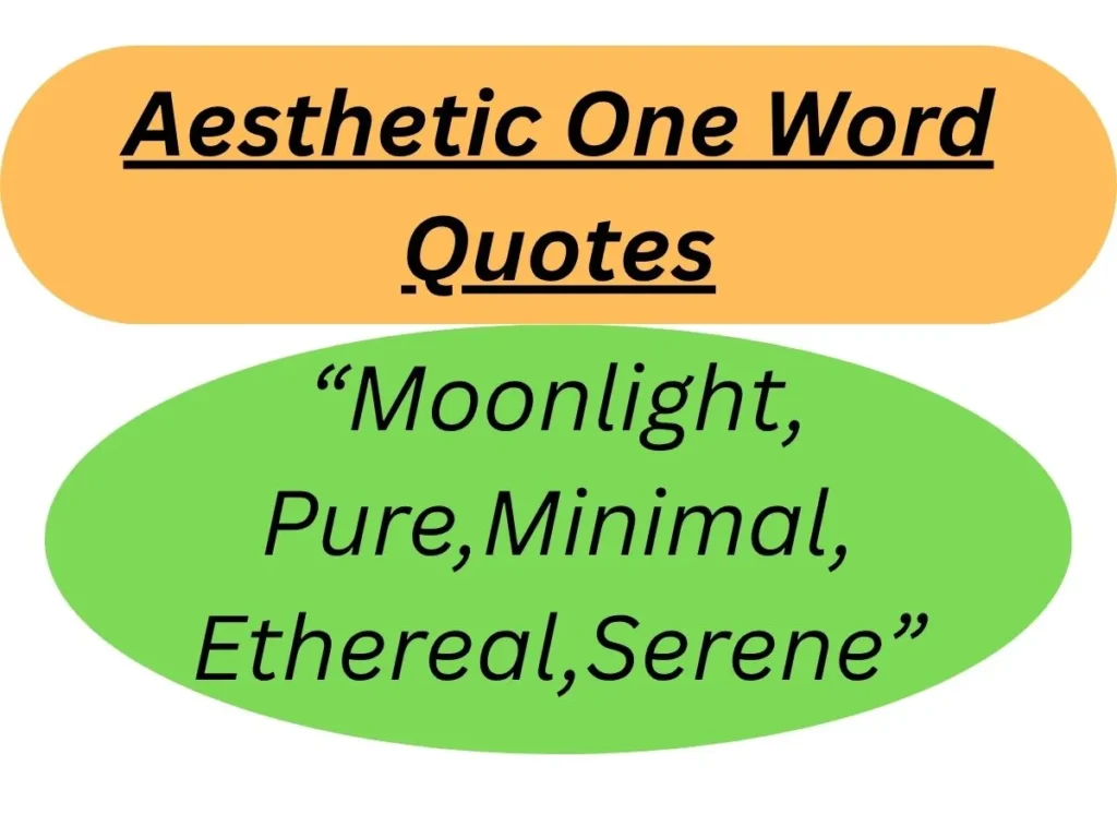 Aesthetic One Word Quotes