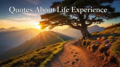 Quotes About Life Experience